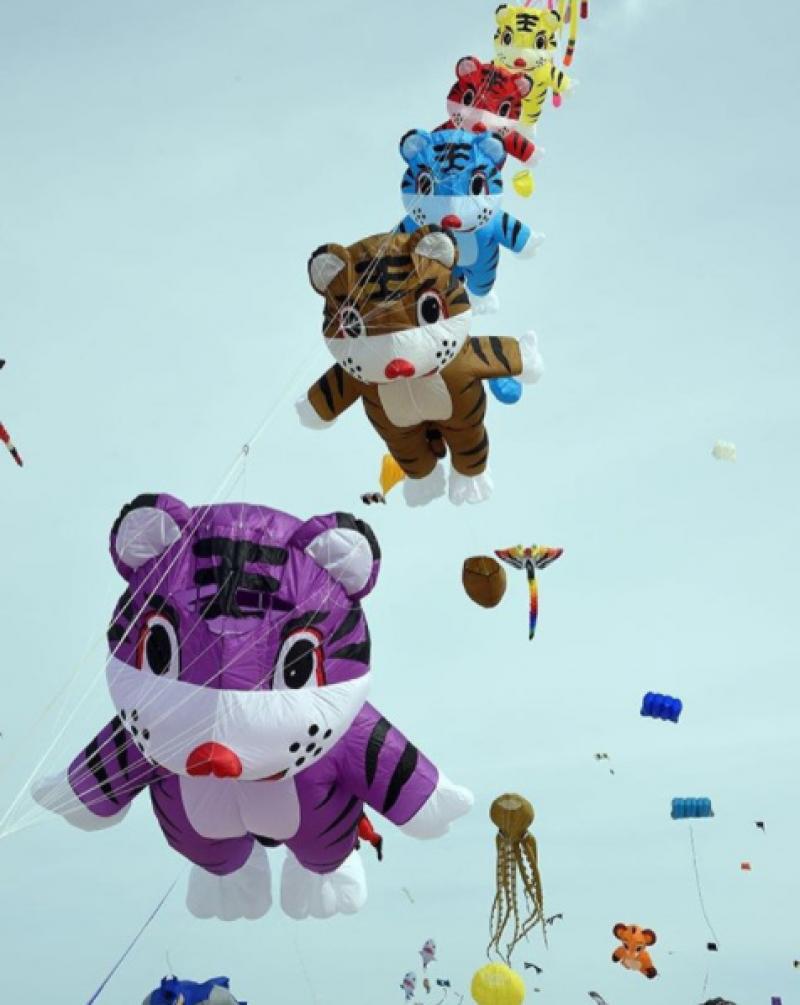 632drolletberckcerfvolants