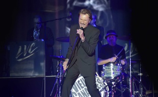 Johnny Hallyday lors du concert des Vieilles canailles en 2014.