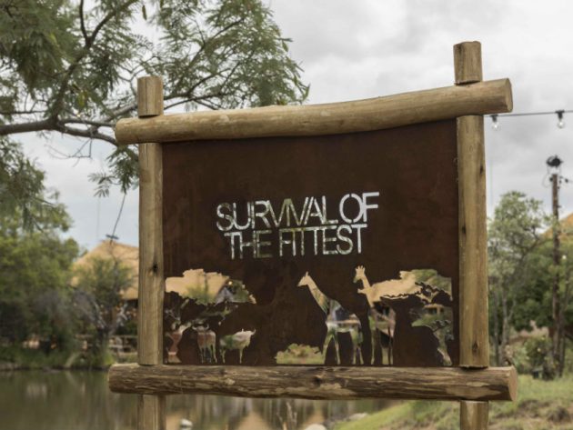  Survie de la loge la plus apte 