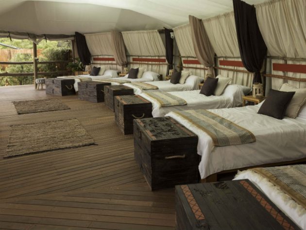  Survie de la loge la plus convenable 