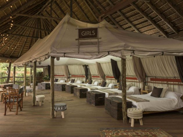  Survival Of The Fittest lodge 