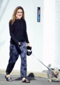 Chrishell Stause reste décontractée alors qu'elle emmène son chien se promener à Hollywood Hills, en Californie