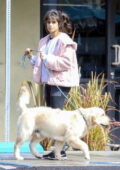 Camila Cabello et Shawn Mendes sortent pour une course de jus avec leur chien à Los Angeles